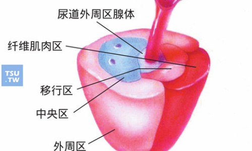 医采套盒图片-医采套盒成分与功效网 - 为你提供医采真的很好用吗、医采套盒多少钱一套